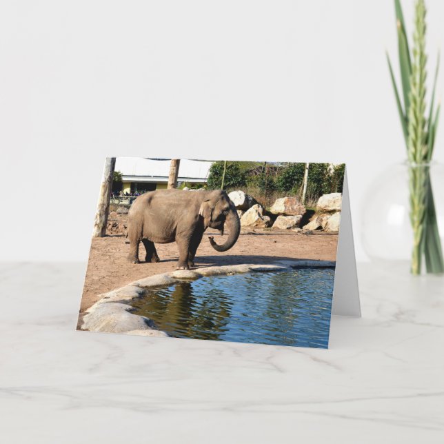 Asian elephant holiday card (Front)