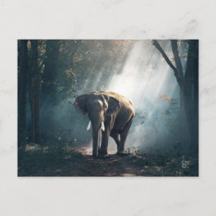 Asian Elephant in a Sunlit Forest Clearing Postcard