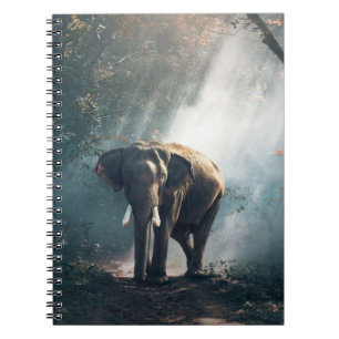 Asian Elephant in a Sunlit Forest Clearing Spiral Notebook