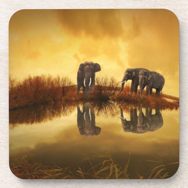 Asian Elephants in Thailand under a glowing sunset Coaster (Front)