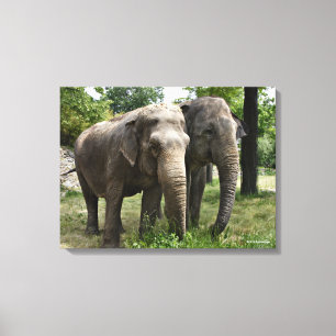 Asian Elephants Side by Side Canvas Print