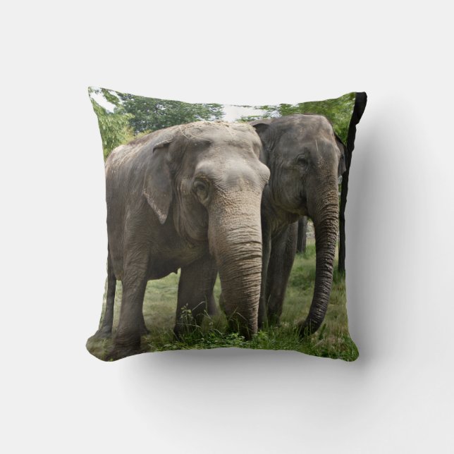 Asian Elephants Side by Side Cushion (Front)