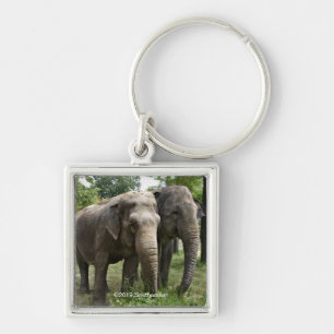 Asian Elephants Side by Side Key Ring