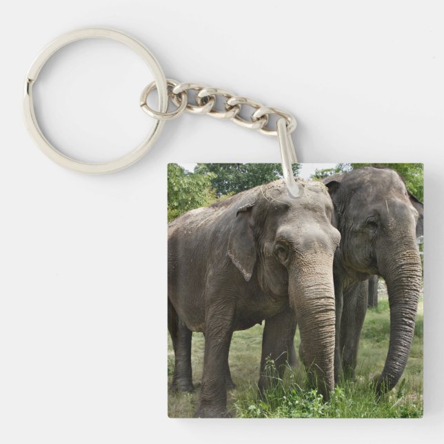 Asian Elephants Side by Side Key Ring (Front)