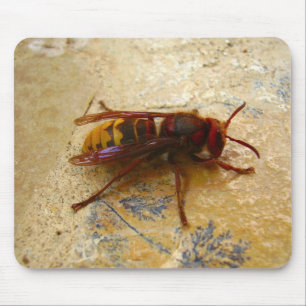 Asian Hornet Mouse Mat