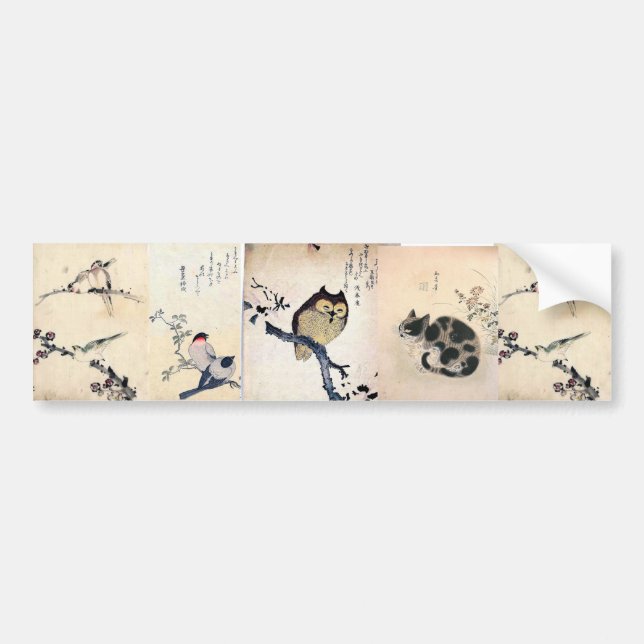 Asian Owl Bumper Sticker (Front)