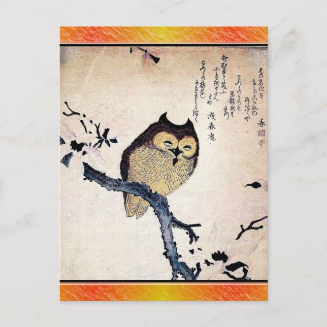 Asian Owl Postcard (Front)