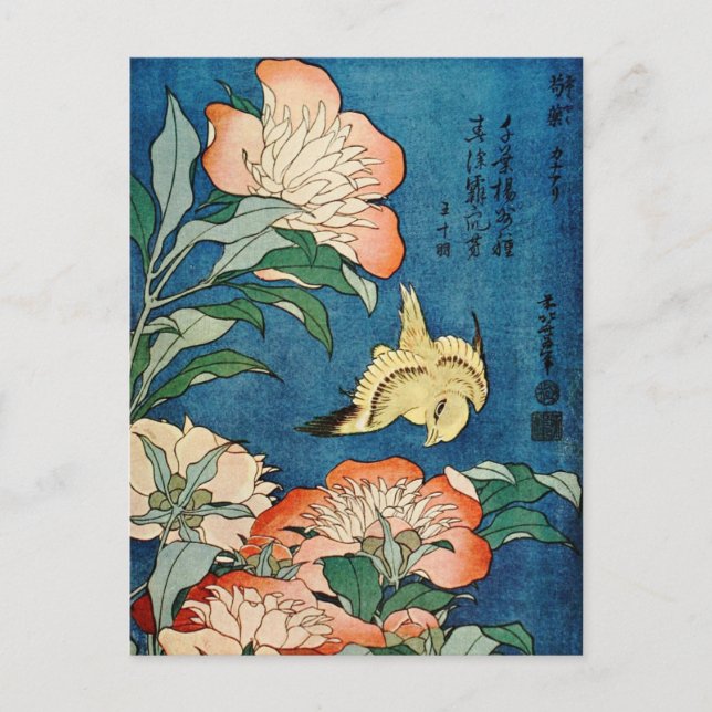 ASIAN PEONIES postcard (Front)