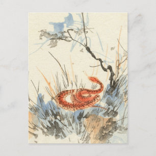 Asian Snake Vintage Postcard
