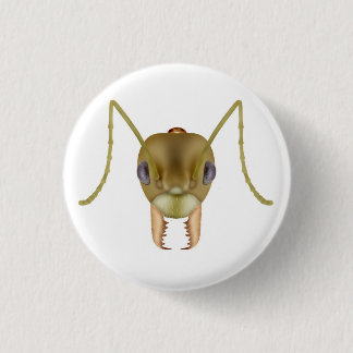 Asian weaver ant button