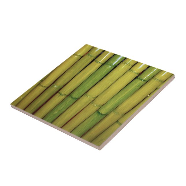 Asian | Zen Green Bamboo Stalks Botanical Photo Tile (Side)
