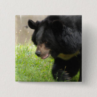 Asiatic Black Bear Pin