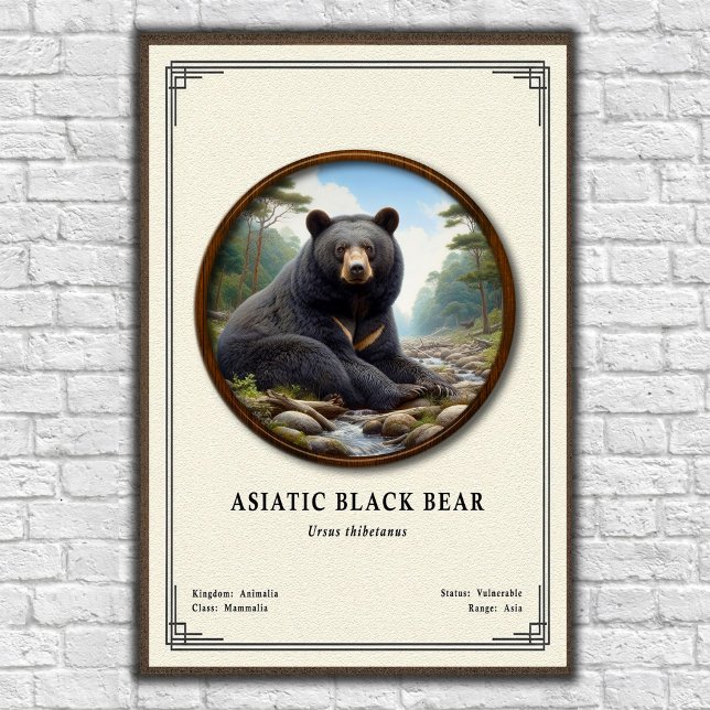 Asiatic Black Bear Zoology Series Poster (Creator Uploaded)