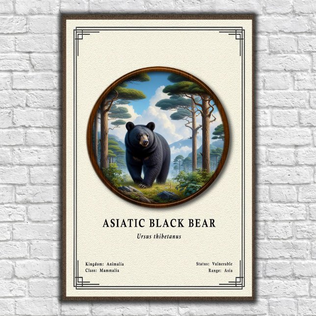 Asiatic Black Bear Zoology Series Poster (Creator Uploaded)