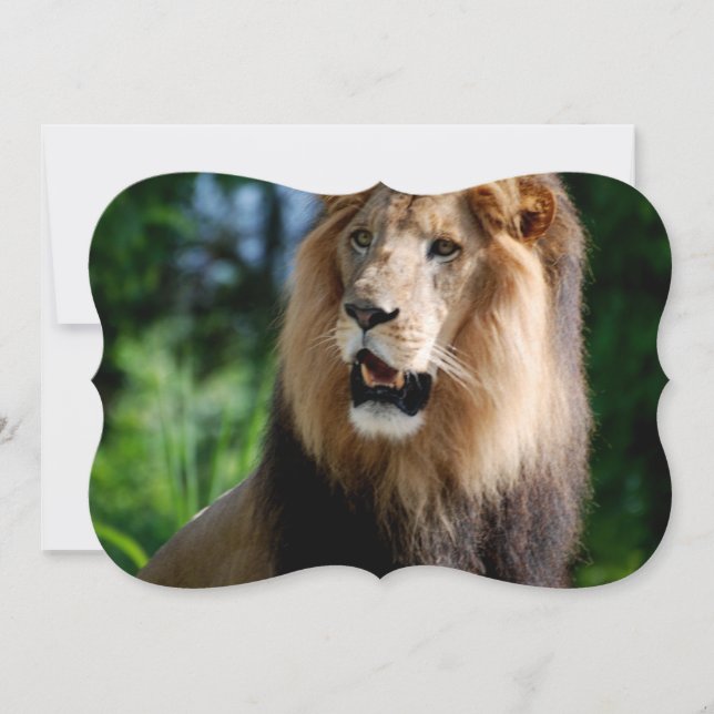 Asiatic Lion of Iran Invitation (Front)