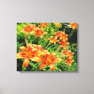 ASIATIC ORANGE LILY CANVAS PRINT