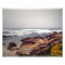 Asilomar Beach, Pacific Grove, CA, USA