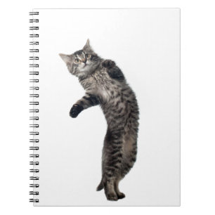 Asio Dancing Notebook