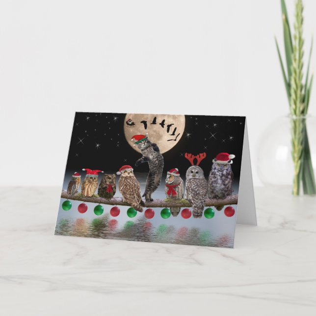 Asio dancing with owls on Christmas Eve Holiday Card (Front)