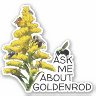 Ask Me About Goldenrod and Pollinators