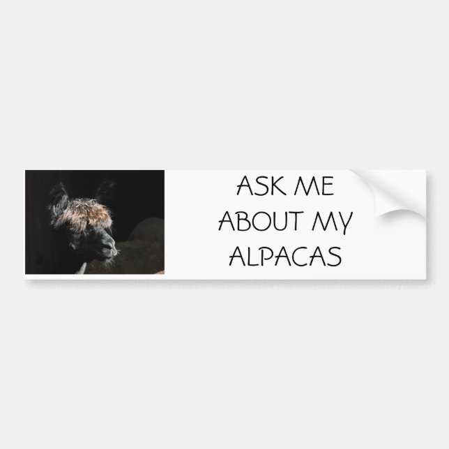 ASK ME ABOUT MY ALPACAS BUMPER STICKER (Front)