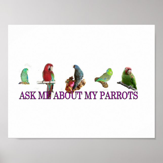 Ask Me About My Parrots Poster (Front)