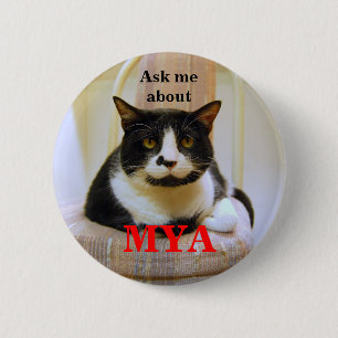 Ask Me About Mya Button