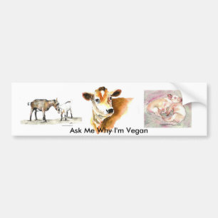 Ask Me Why I'm Vegan bumper sticker