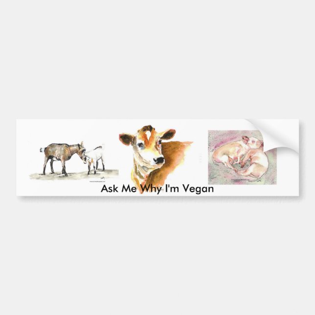 Ask Me Why I'm Vegan bumper sticker (Front)