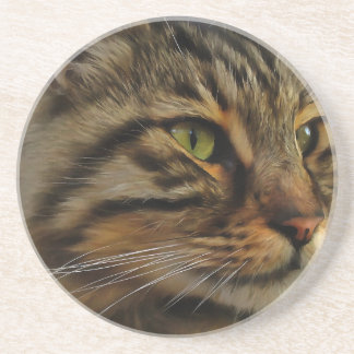 Aslan The Long Haired Tabby Cat Coaster