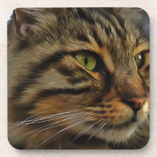 Aslan The Long Haired Tabby Cat Coaster