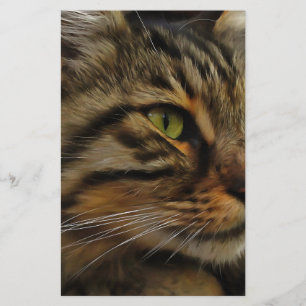 Aslan The Long Haired Tabby Cat Stationery