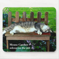 Asleep on the Job