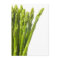 Asparagus