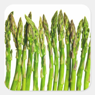 Asparagus on White - Customised Veggie Background Square Sticker