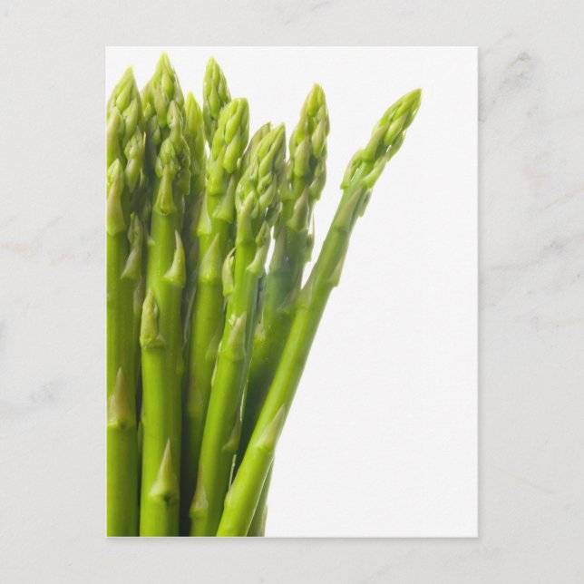 Asparagus Postcard (Front)