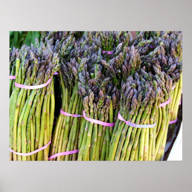 Asparagus Poster (Front)
