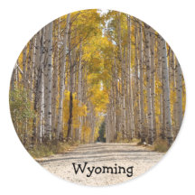 Aspen Alley In Autumn