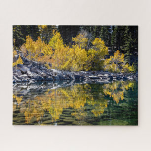 Aspen Beauty at Sherwin Lake, CA Jigsaw Puzzle