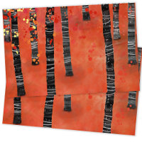 Aspen Birch Tree Forest Landscape