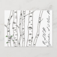 Aspen Birch Tree Grove RSVP Postcard