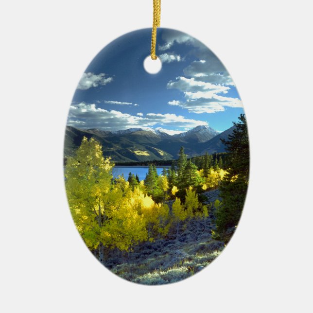Aspen Ceramic Tree Decoration (Front)