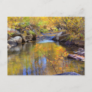 Aspen, Colorado Autumn Creek Landscape  Postcard