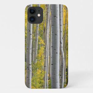 Aspen Fall Colors Tree Trunks Yellow Splendor Case-Mate iPhone Case
