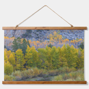 Aspen Forest in Autumn  Hanging Tapestry