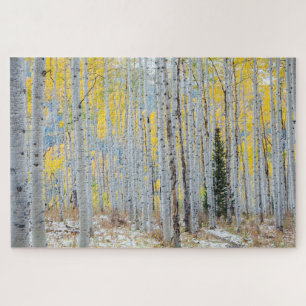 Aspen Forest In The Fall Jigsaw Puzzle