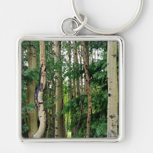 Aspen Forest Key Ring (Front)