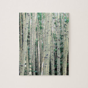 Aspen Forest Maze - 8x10 - 110 pieces Jigsaw Puzzle