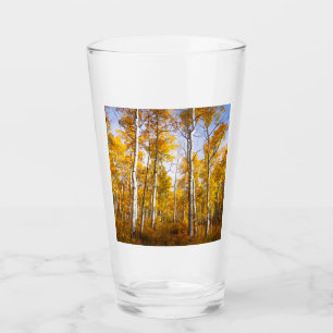 Aspen Groove Yellow Fall Leaves Glass