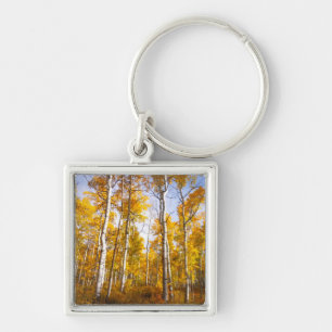 Aspen Groove Yellow Fall Leaves Key Ring